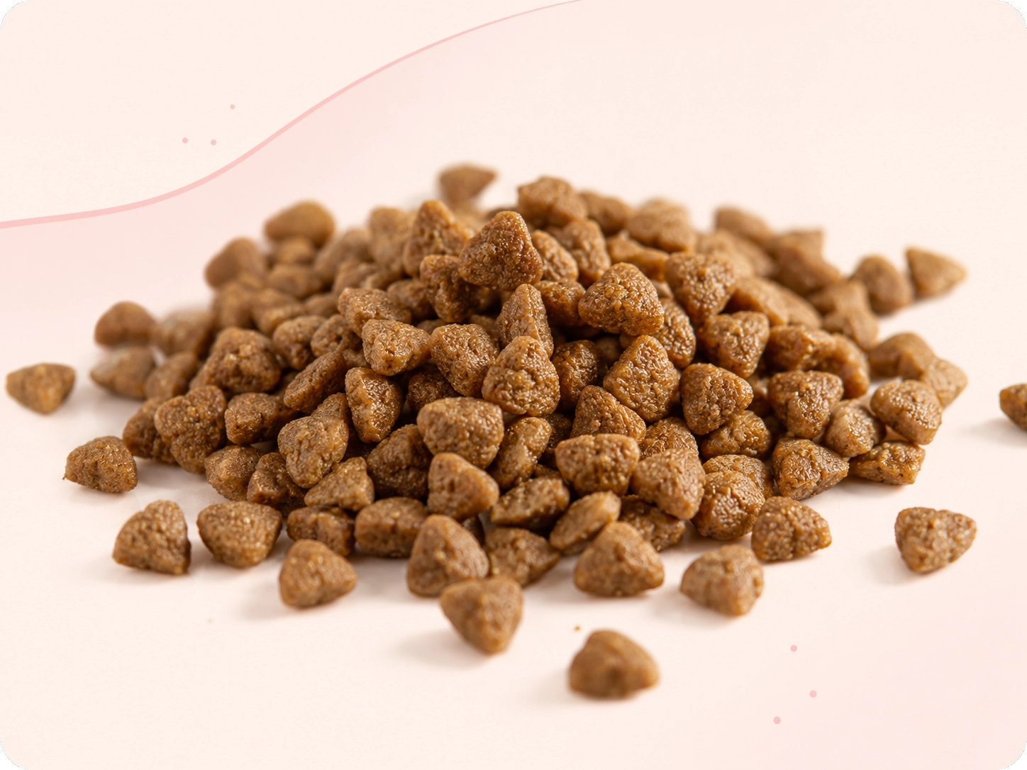 Frase de nutrición felina MISY